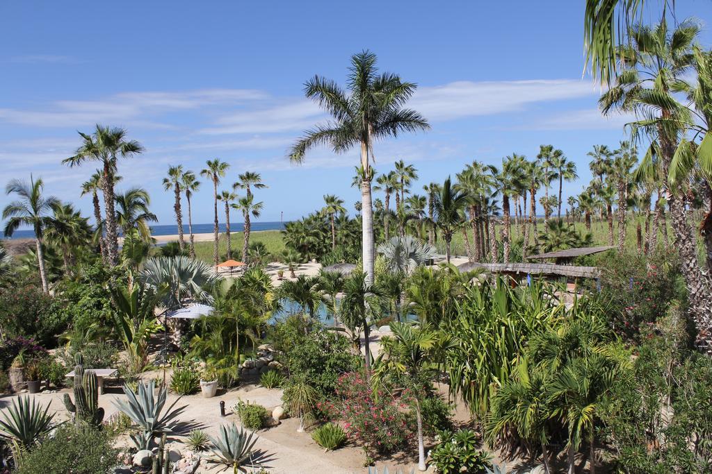 Hotel Posada La Poza โทโดส ซานโตส ห้อง รูปภาพ