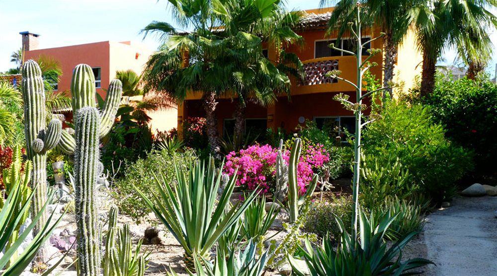 Hotel Posada La Poza โทโดส ซานโตส ภายนอก รูปภาพ